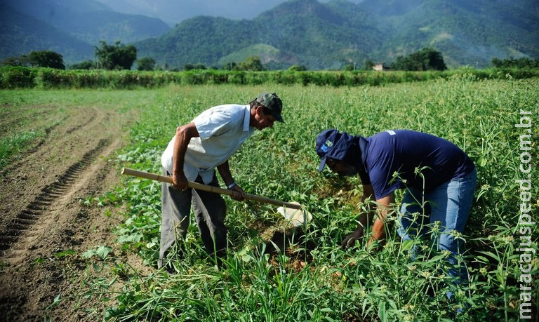 Aplicação do crédito rural ultrapassa R$ 271 bilhões na temporada 2020/2021 Aplicação do crédito rural ultrapassa R$ 271 bilhões na temporada 2020/2021