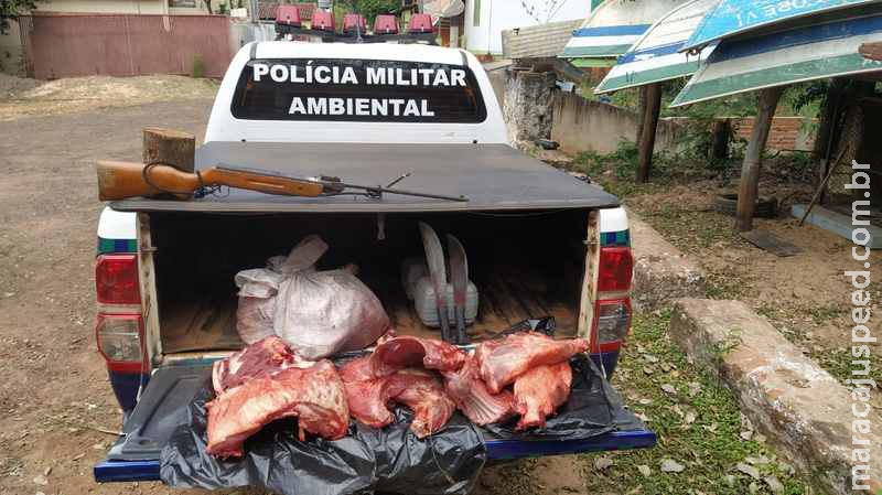 Após caça em área particular e abate de catetos, caçadores presos e multados em R$ 21 mil em MS Após caça em área particular e abate de catetos, caçadores presos e multados em R$ 21 mil em MS