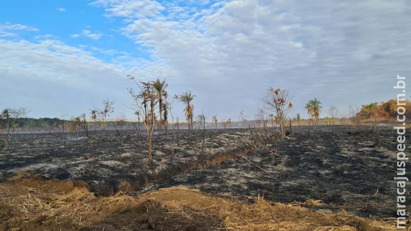 Arrendatário é multado em R$ 48 mil por incêndio de lavoura em Campo Grande