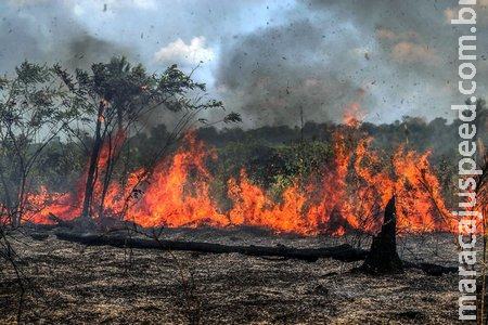Bombeiros de Sidrolândia flagram queimada ilegal em Nioaque 