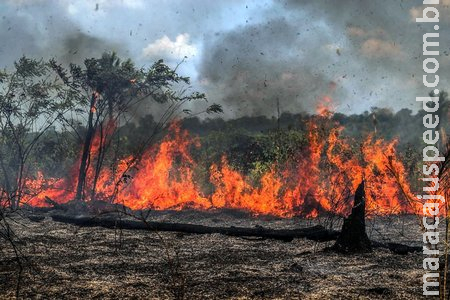 Bombeiros de Sidrolândia flagram queimada ilegal em Nioaque Bombeiros de Sidrolândia flagram queimada ilegal em Nioaque