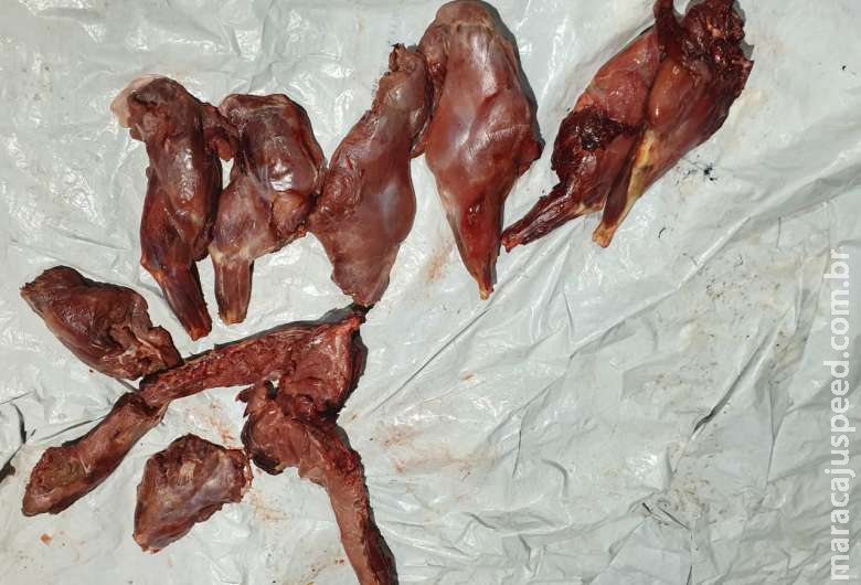 Caçador é multado ao ser flagrado transportando carne de cateto 