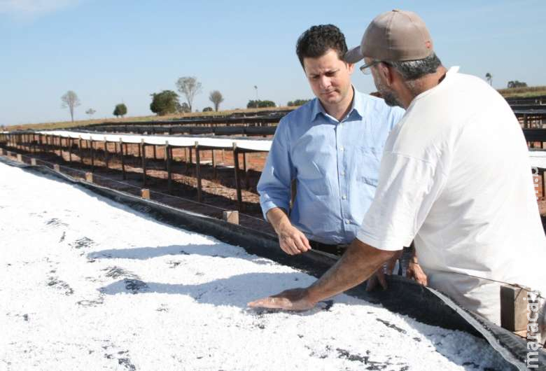 Câmara pede regulamentação do uso de aditivos para conservação de tapioca Câmara pede regulamentação do uso de aditivos para conservação de tapioca