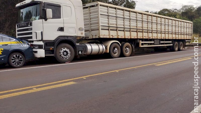 Caminhoneiro não consegue frear e atinge viatura da PRF que atendia acidente na BR-262 