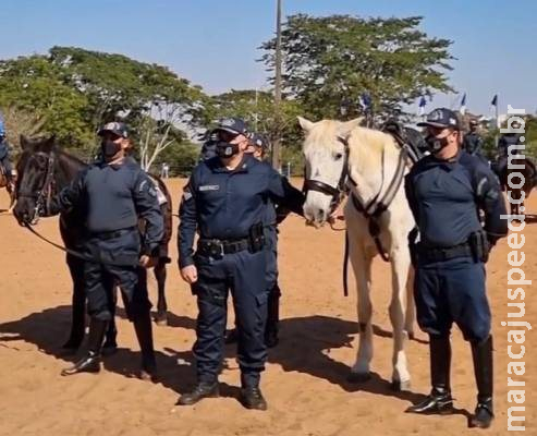 Cavalos que atuaram por mais de 20 anos na PMMS são aposentados em cerimônia