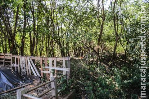 Cemitério clandestino é encontrado em Campo Grande e pode estar ligado ao PCC