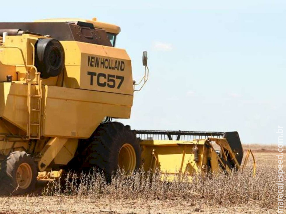 Colheita do milho começa a avançar e supera 80 mil hectares em MS 