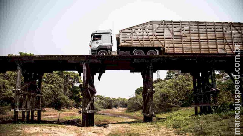 Com cidades de MS entre as mais secas do país, baixa umidade causa de alergias a rinites; saiba como evitar 