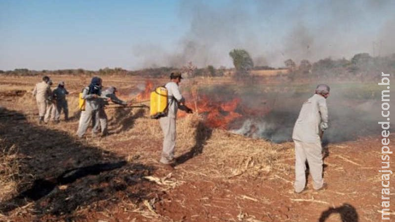 Com seca, servidores de universidade recebem treinamento de combate a incêndios em Dourados Com seca, servidores de universidade recebem treinamento de combate a incêndios em Dourados