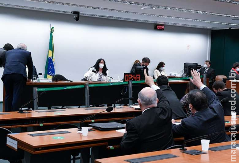 Comissão aprova LDO para 2022 com prioridade a vacinas, creches e habitação