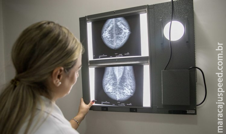 Comissão aprova proposta que destina 10% das multas de trânsito para tratamento de câncer de mama Comissão aprova proposta que destina 10% das multas de trânsito para tratamento de câncer de mama
