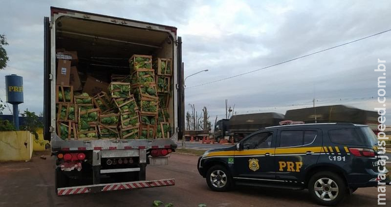 Contrabando de cigarro escondido atrás de caixas de repolho é apreendido em MS