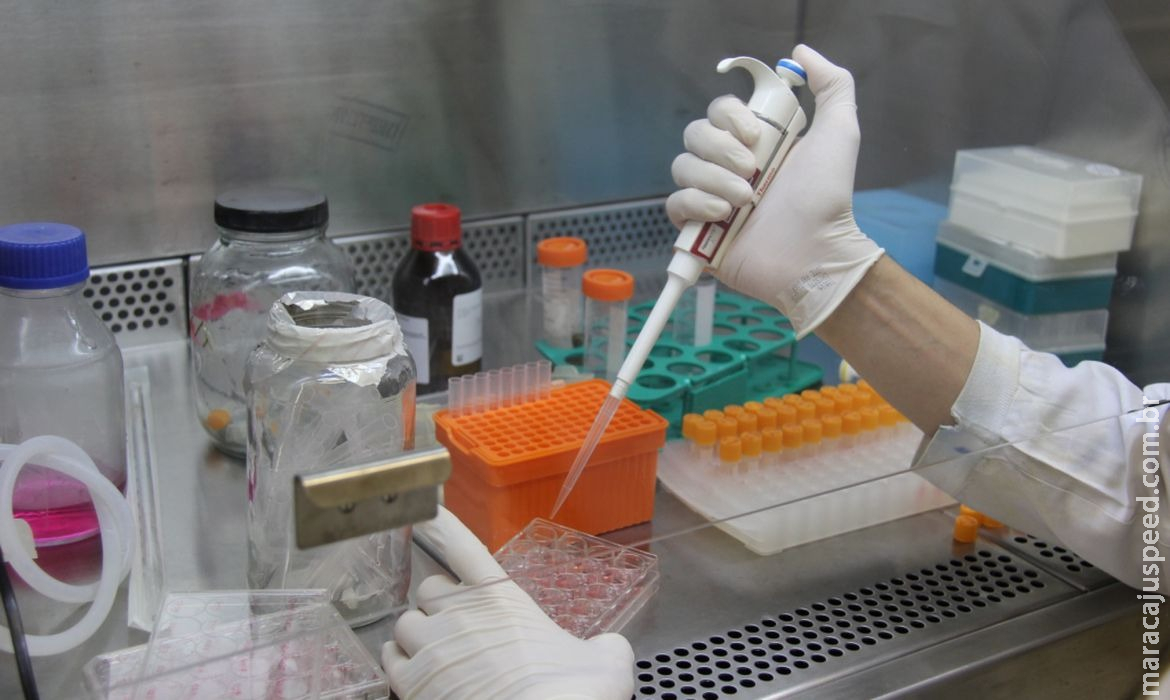 Covid-19: pesquisadores criam teste barato para unidades de saúde Covid-19: pesquisadores criam teste barato para unidades de saúde