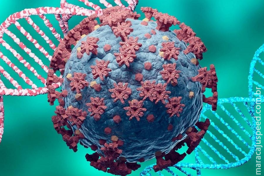 COVID-19: Quatro variantes de preocupação circulam nas Américas, confirma OPAS COVID-19: Quatro variantes de preocupação circulam nas Américas, confirma OPAS