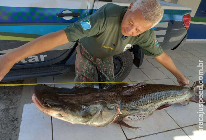 Dono de rancho é preso com pescado ilegal Dono de rancho é preso com pescado ilegal