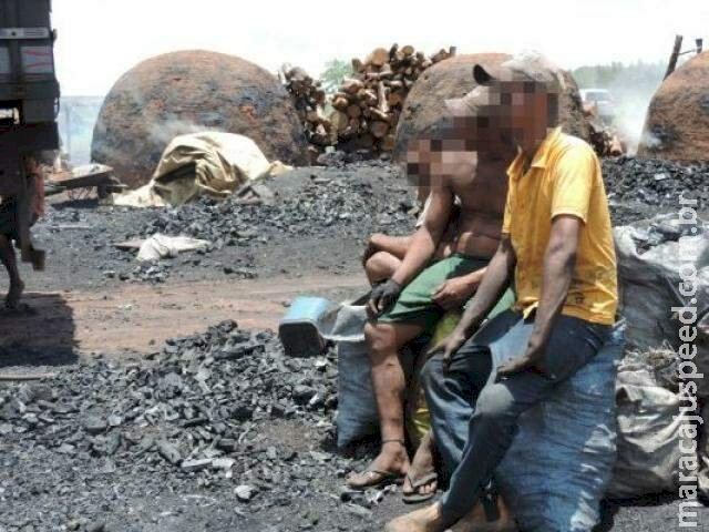 Dono de siderúrgica é condenado a 5 anos, perda de fazenda e R$ 1,3 mi por trabalho escravo em MS 