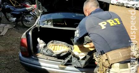 Droga que saiu de Sidrolândia foi apreendida pela PRF na rodovia BR-060 