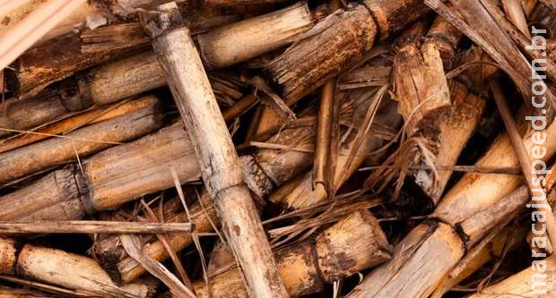 Dupla é flagrada assaltando garaparia e testemunha apanha com pedaço de cana em Campo Grande