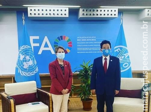 Em Roma, ministra Tereza cita papel do Brasil para segurança alimentar global Em Roma, ministra Tereza cita papel do Brasil para segurança alimentar global