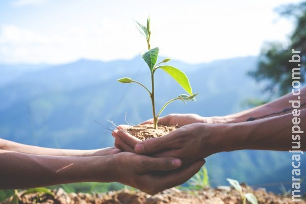 Empresas brasileiras implementam novas práticas socioambientais e de gestão