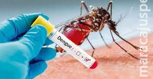 Estado confirma 33 diagnósticos de dengue na semana Estado confirma 33 diagnósticos de dengue na semana