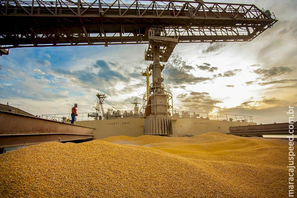 Exportações de milho do Brasil podem atingir menor volume em 10 anos Exportações de milho do Brasil podem atingir menor volume em 10 anos
