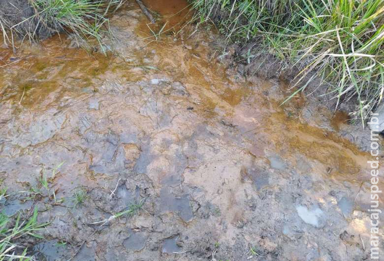 Fazendeiro de SP é autuado em R$ 30 mil por degradação de nascentes no MS Fazendeiro de SP é autuado em R$ 30 mil por degradação de nascentes no MS