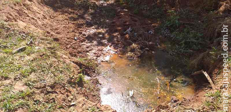 Fazendeiro é multado em R$ 5 mil por deixar que gado degradasse nascente em área de proteção Fazendeiro é multado em R$ 5 mil por deixar que gado degradasse nascente em área de proteção