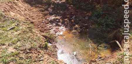 Fazendeiro é multado em R$ 5 mil por deixar que gado degradasse nascente em área de proteção Fazendeiro é multado em R$ 5 mil por deixar que gado degradasse nascente em área de proteção