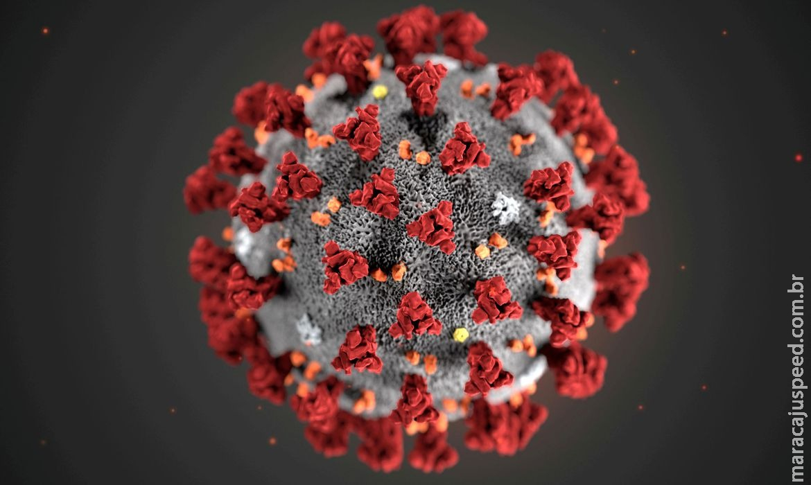 Fiocruz: estudo sugere que variante Delta pode causar mais reinfecções Fiocruz: estudo sugere que variante Delta pode causar mais reinfecções