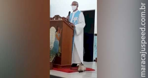 Gata brinca com batina de padre, que reflete sobre comportamento do cristão 