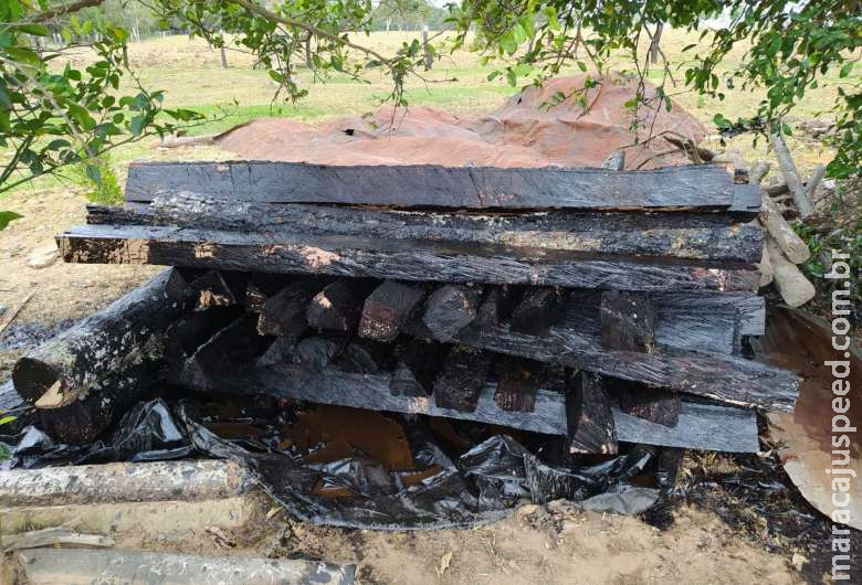 Homem é autuado por armazenamento e exploração ilegal de madeira em assentamento