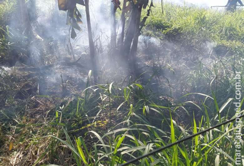 Idoso é autuado por incêndio em terreno baldio