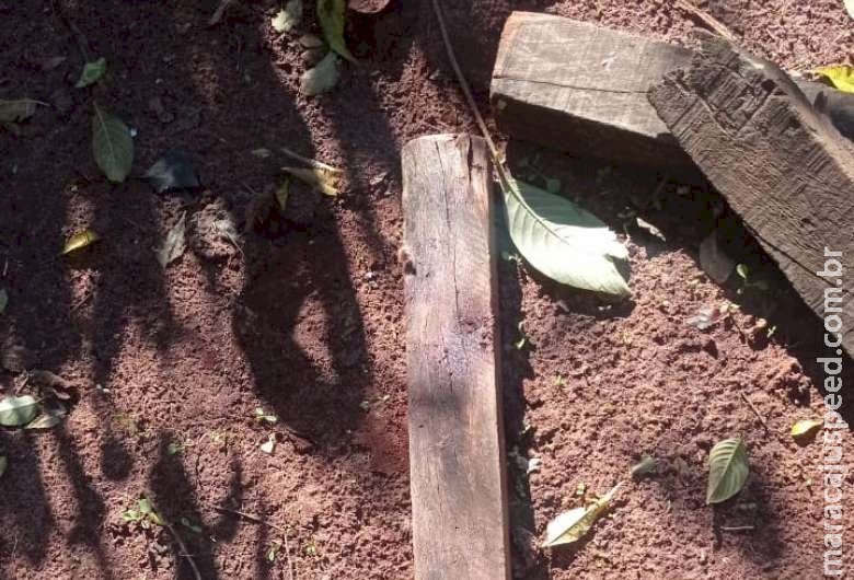 Idoso mata cachorro a pauladas e vai preso Idoso mata cachorro a pauladas e vai preso