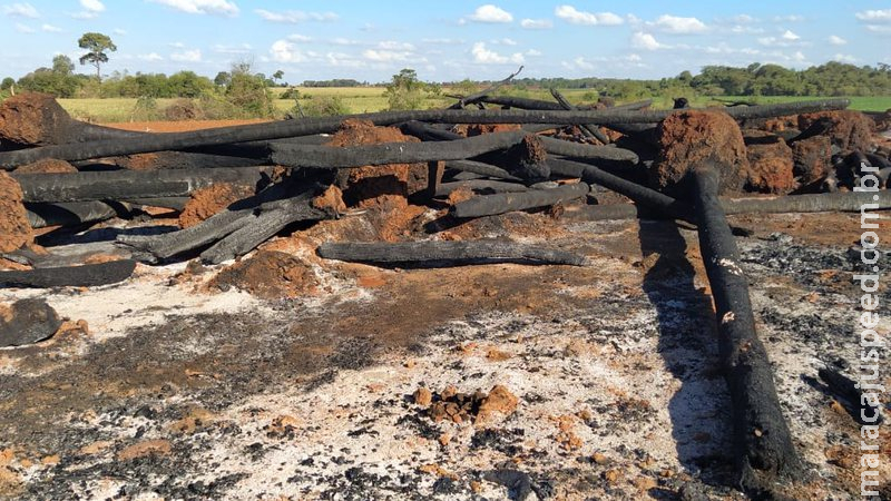 Justiça libera policiais acusados de cobrar para autorizar queimadas e não aplicar multas ambientais