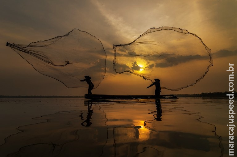 Lançado novo sistema nacional de cadastro para pescadores profissionais