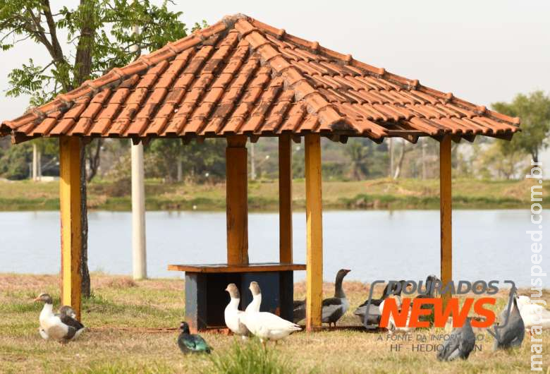 Mais baixa umidade do ar no ano beirou estado de emergência Mais baixa umidade do ar no ano beirou estado de emergência