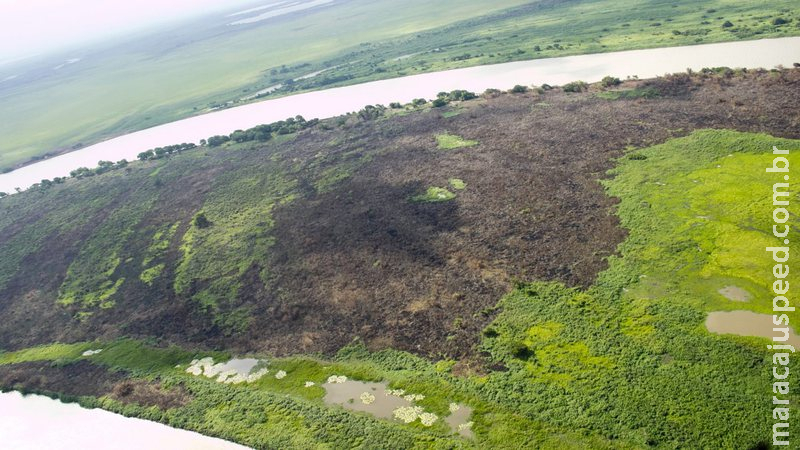 Mapa e entidades apresentam conjunto de ações para mitigação de incêndios em áreas rurais do Pantanal Mapa e entidades apresentam conjunto de ações para mitigação de incêndios em áreas rurais do Pantanal