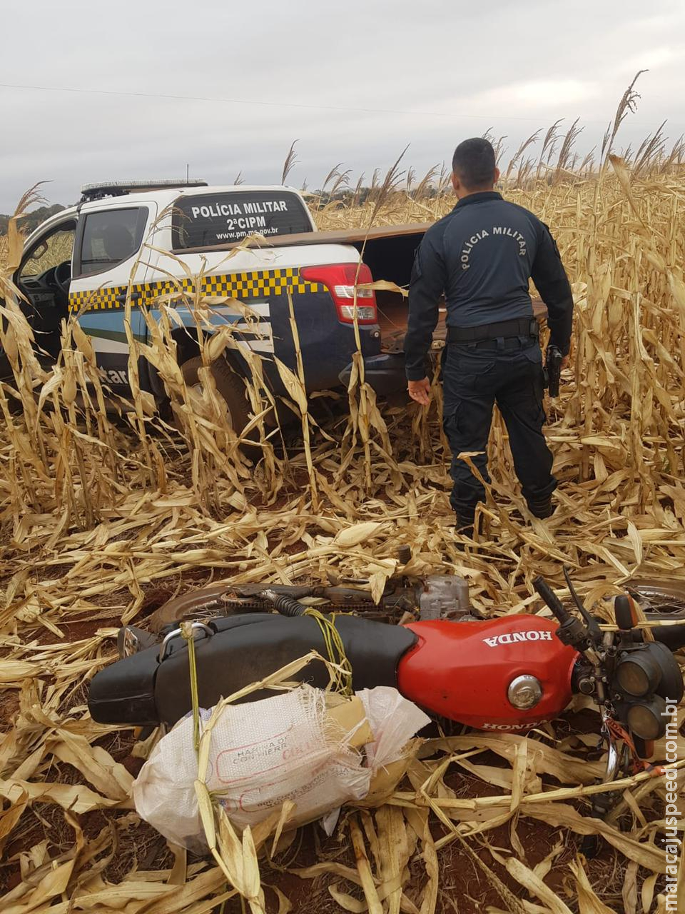 Maracaju, Polícia Militar apreende 32,600 kg de droga