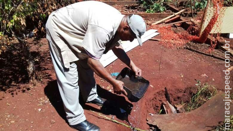 Mato Grosso do Sul registra queda de mortes por dengue Mato Grosso do Sul registra queda de mortes por dengue