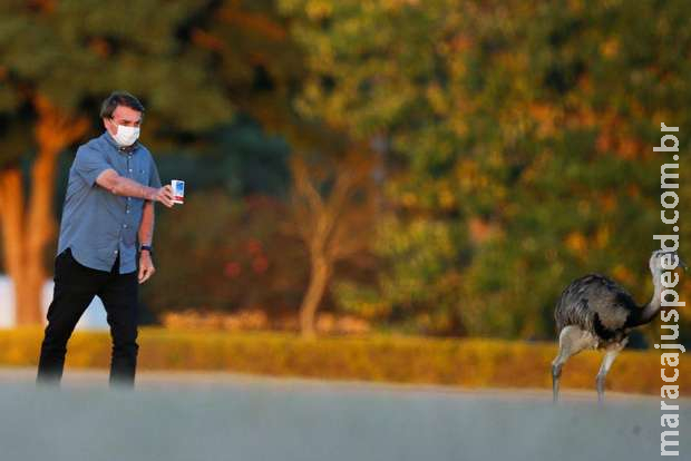 Ministério da Saúde admite ineficácia do kit covid com cloroquina e ivermectina