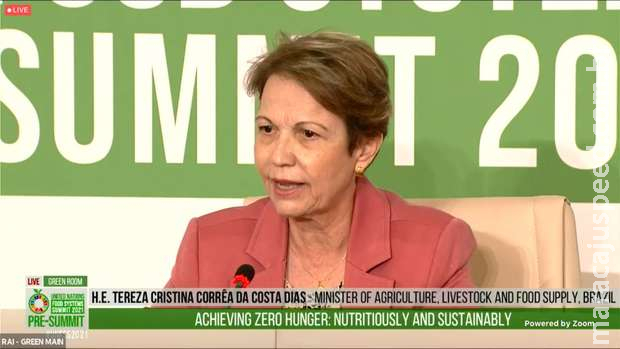 Ministra Tereza Cristina participa de evento em Roma que visa acabar com a fome no mundo Ministra Tereza Cristina participa de evento em Roma que visa acabar com a fome no mundo
