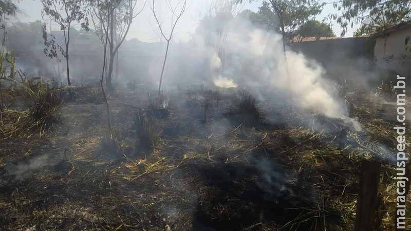 Morador coloca fogo em terreno e recebe multa de R$ 400 em Anastácio Morador coloca fogo em terreno e recebe multa de R$ 400 em Anastácio