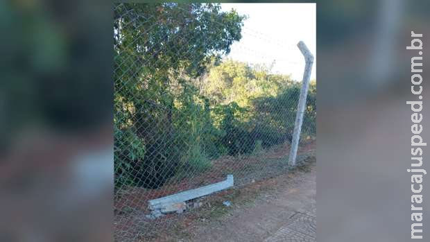 Motociclista perde controle, derruba poste e garupa morre com capacete rachado Motociclista perde controle, derruba poste e garupa morre com capacete rachado