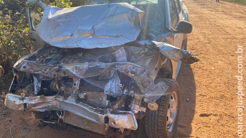 Motorista bate em búfalo na MS-419 e carro fica destruído