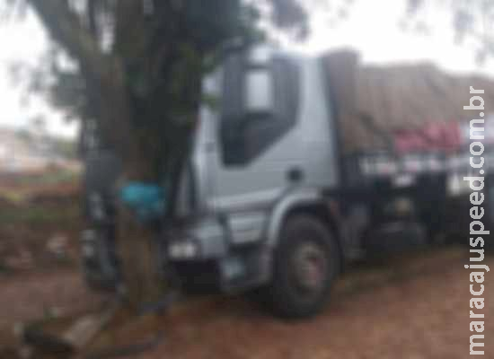 Motorista desmaia ao fugir de bandidos, cair em ribanceira e bater caminhão em árvore