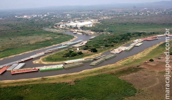 MS tem mais dois decretos de emergência por causa da seca e geada MS tem mais dois decretos de emergência por causa da seca e geada