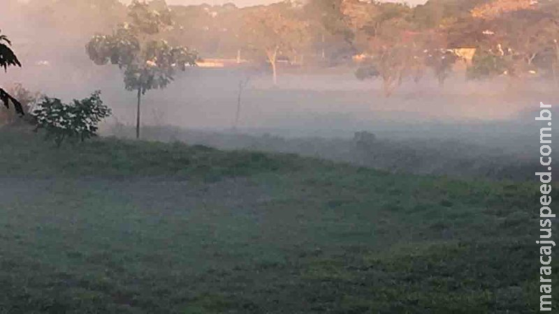 MS tem mínima de -3ºC e três cidades estão entre as 10 mais geladas do país, indica Inmet MS tem mínima de -3ºC e três cidades estão entre as 10 mais geladas do país, indica Inmet
