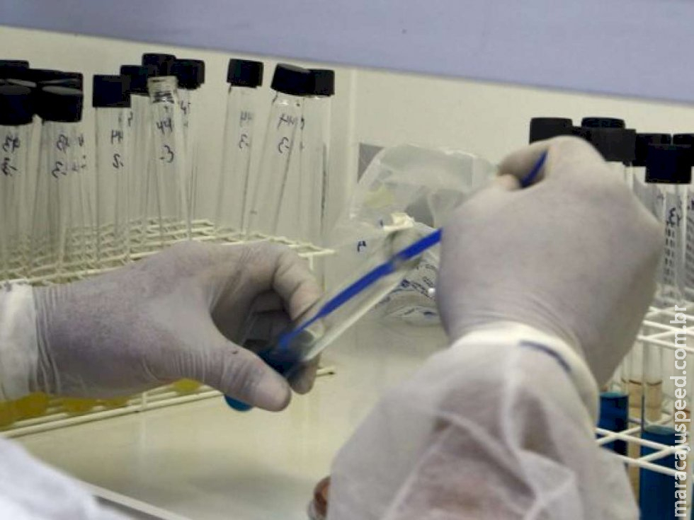 MS ultrapassa 340 mil casos de coronavírus e apresenta queda na média de óbitos MS ultrapassa 340 mil casos de coronavírus e apresenta queda na média de óbitos