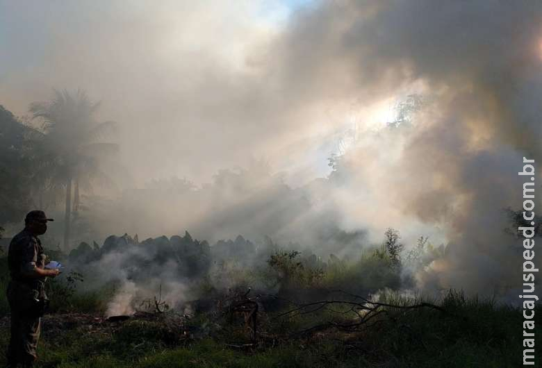 Mulher é autuada em R$ 5 mil por atear fogo em terreno baldio 